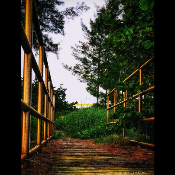 🌺 ᗩᑎᗪᖇEᗩ ᗰᗩᖇIE 🌺 - Picture 3 of 7